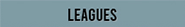 Robbie Wagner's leagues